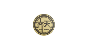 齐天武道